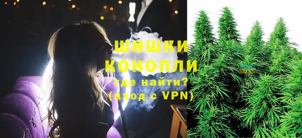spice Бежецк