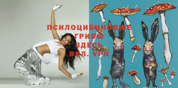 таблы Белая Холуница