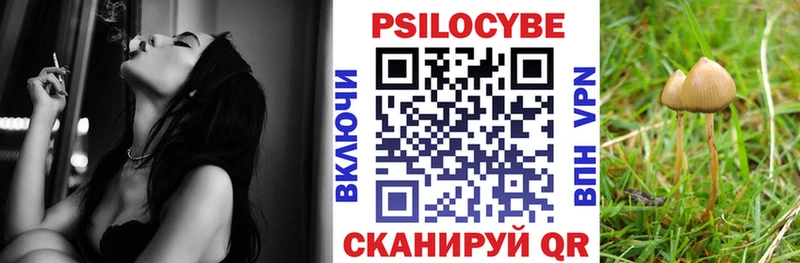 Псилоцибиновые грибы GOLDEN TEACHER  Гай 